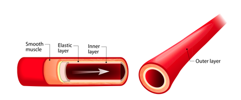 誰も知らない社会問題 日本の国民病は 血管 の不健康が元凶 アルファメイルが立ち向かう社会情勢