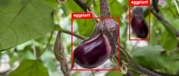 project cover image