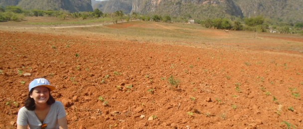project cover image