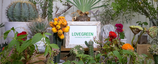 花 植物に興味のある ボタニカルライター を募集中 株式会社ストロボライトの編集 ライティングの求人 Wantedly