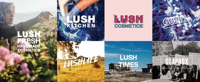 Lushネットワークス チーフエディター募集 株式会社ラッシュジャパンのマーケティング Prの求人 Wantedly