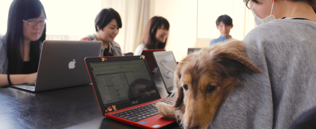 動物が大好きなリードデザイナー募集 株式会社pecoのui Uxデザイナーの求人 Wantedly