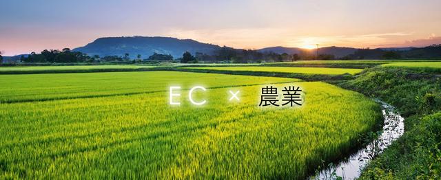 田舎で農業しながらitのお仕事 就農 農業 Ec販売 株式会社エイトのエンジニアリングの求人 Wantedly