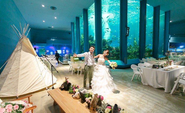 静岡県初の水族館ウェディングpartyをプロデュース カルロスイベンツ ウェディング Wantedly