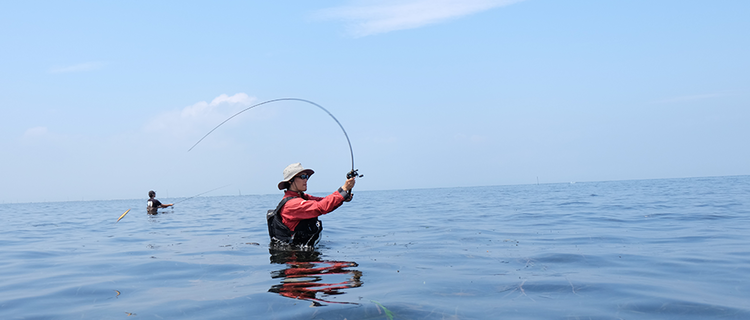 釣りをするだけ 釣りムービーのエキストラバイト募集 株式会社bonxのの採用 Wantedly