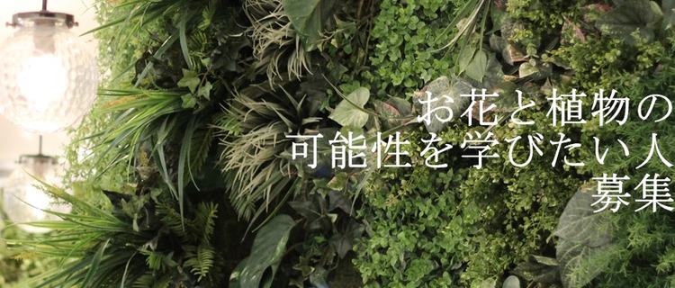 長野の花形のしごと 株式会社ヌボー生花店のの採用 Wantedly