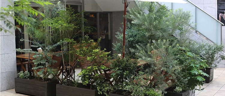 植物のある暮らしと空間をつくる植栽スタッフ募集 株式会社botanicのの採用 Wantedly