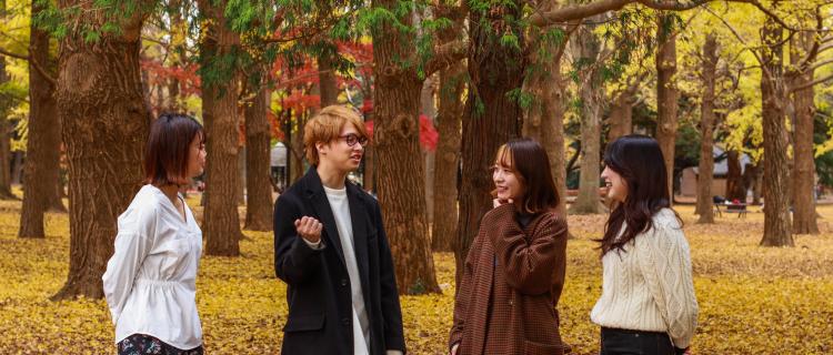 経営者直下 課題を分析 提案し 会社の未来を創っていきませんか イチミ株式会社のの採用 Wantedly