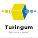 Turingumの会社情報