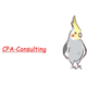 合同会社CPA-Consulting の会社情報