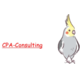 About 合同会社CPA-Consulting 