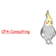 About 合同会社CPA-Consulting 