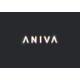 株式会社ANIVAの会社情報