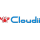 株式会社Cloudiiの会社情報