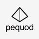 株式会社pequodの会社情報