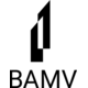 BAMV-LLC-blog