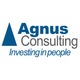 Agnus Consulting 