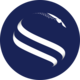 About Synspective