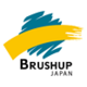 ブラッシュアップ・ジャパン株式会社の会社情報